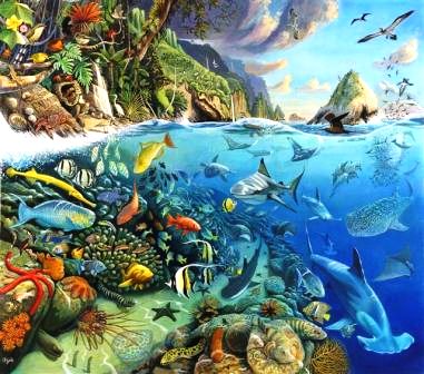Biodiversidad